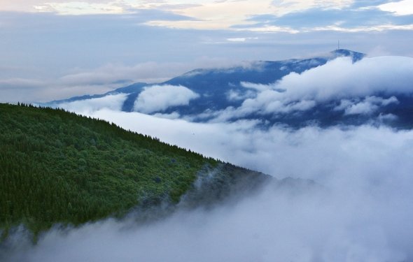 поход в Карпаты, Черногорский