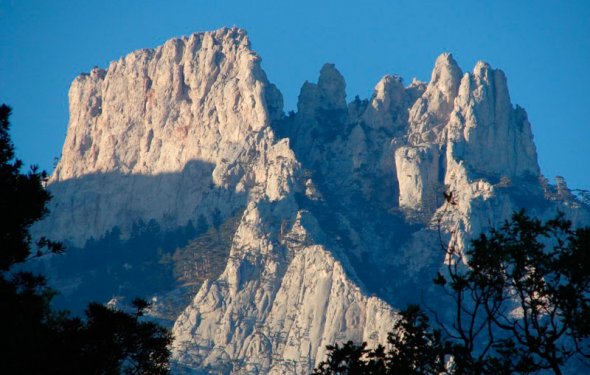 Юных тюменцев приглашают в