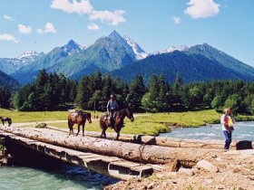 Активные конные туры по Алтаю