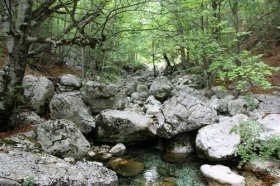 Каньон реки Комарница