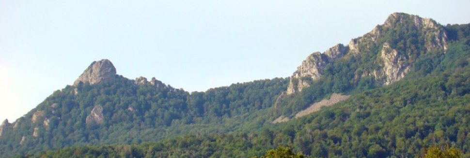 We Need A Mountain Walk