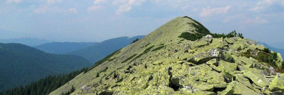 Going To A Mountain Of Ham