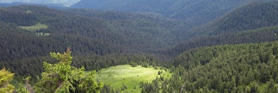 Mountain Similars