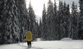 Зимой в Карпаты с рюкзаком